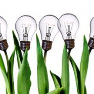 Desarrollar la cultura de la Innovación