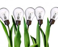Desarrollar la cultura de la Innovación