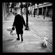 La historia de la abuelita
