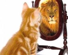 ¿Cómo andas de confianza?